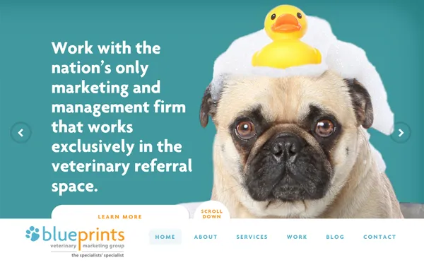 img of B2B Digital Marketing Agency - BluePrints Veterinary Marketing Group, Inc.